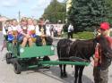 Dožinky na Búroch- 4. ročník Dožinky na Búroch- 4. ročník