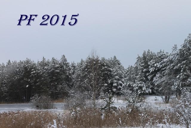 Fotogaléria PF 2015 (1) PF 2015