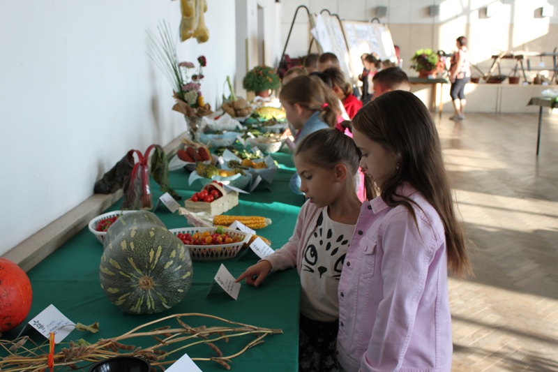 Fotogaléria 2018-09-16 Plody búranských záhrad (10) 2018-09-16 Plody búranských záhrad